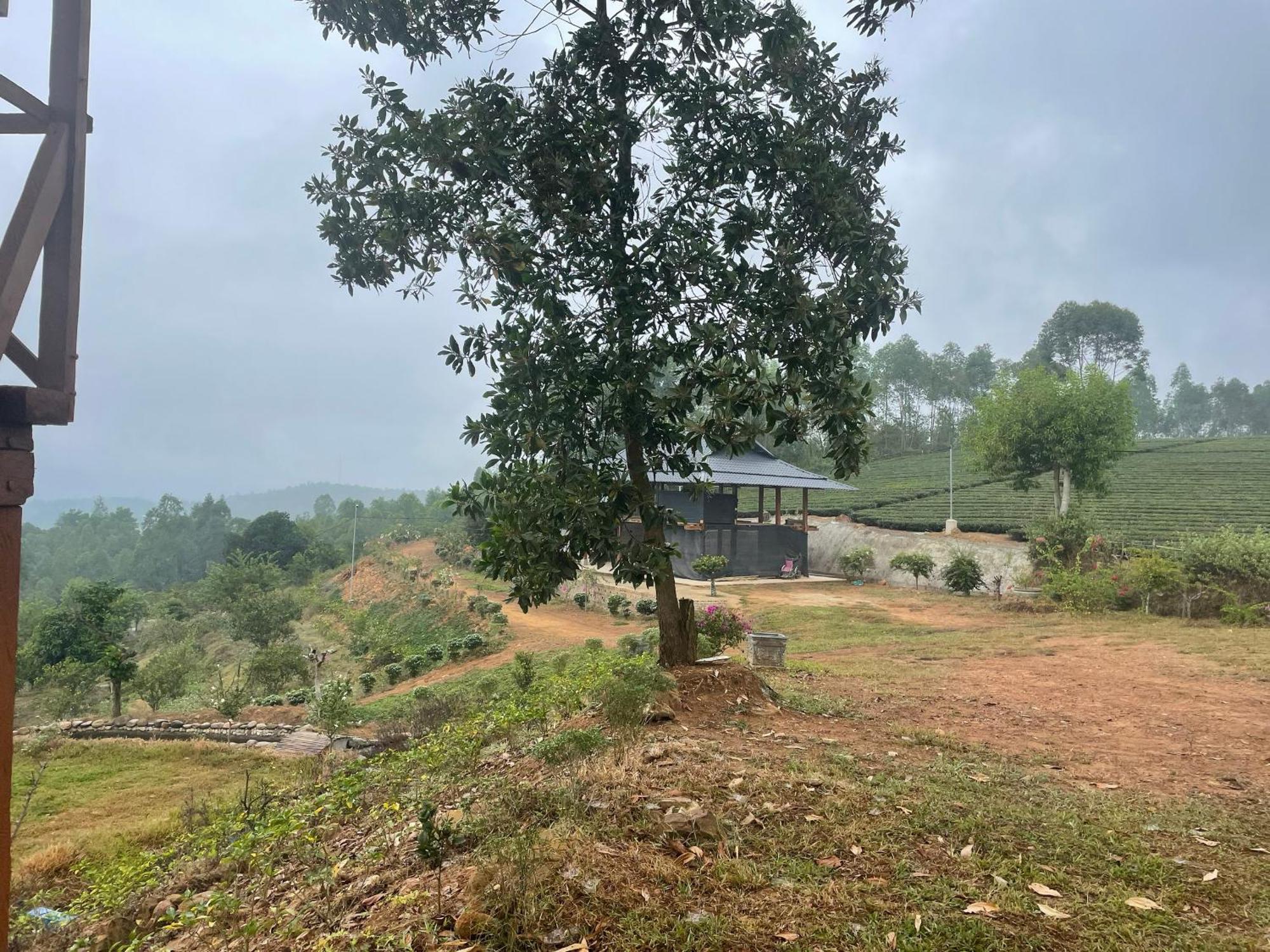 Happy Homestay Nghia Lo Exterior foto